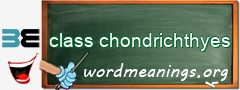 WordMeaning blackboard for class chondrichthyes